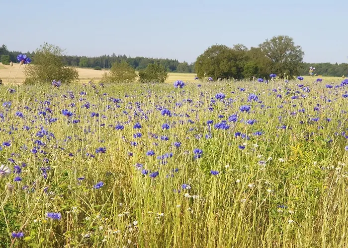 Bed & Breakfast Bed And Breakfast Zeddam