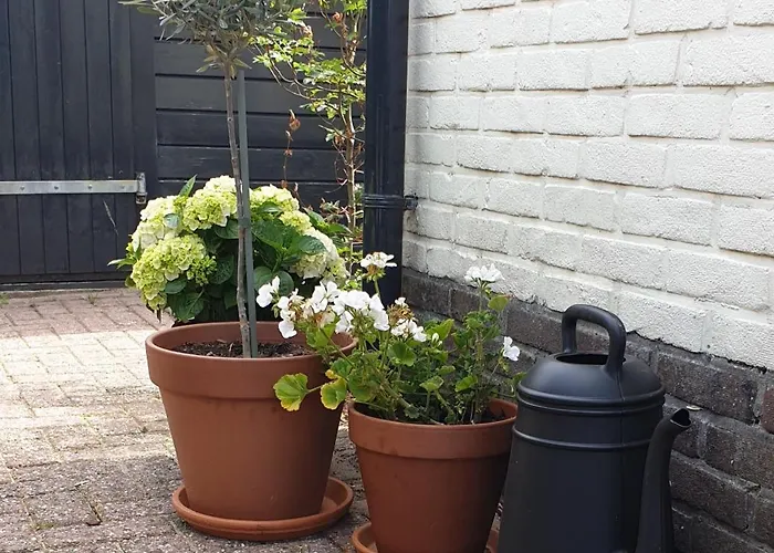 Bed And Breakfast Zeddam Bed & Breakfast 3*